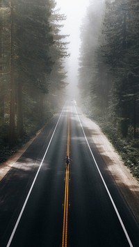 Scenic freeway through the Californian forest