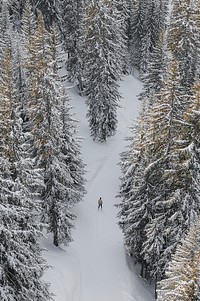 Traveler skiing through the mountain in Verbier, Switzerland