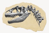 Dinosaur fossil ripped paper, extinct animal graphic