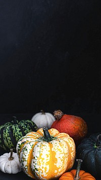 Fresh colorful pumpkins on a table