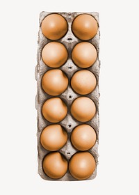 Egg carton, organic food ingredient isolated image psd