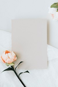 Blank light pink card template