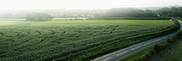 Green maze field on the countryside banner