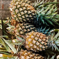 Thorny pineapples closeup in the market