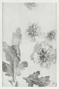 Chrysanthemum flowers and leaves frozen in ice with air bubbles monotone
