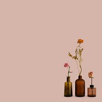 Dried flowers in brown glass vases on a pink background