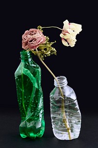 Dried flowers in crashed plastic bottles on a black background