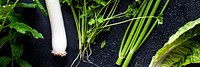 Mixed green fresh organic herbs and salads flatlay