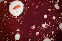 Infectious coronavirus blood splatter 