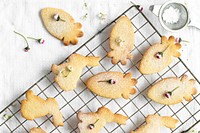 Mix homemade sugar bunny and carrot cookies recipe