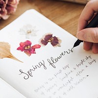 Dried flowers in a spring flowers diary