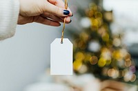 Hand holding Christmas tag