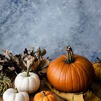 Jack o' Lantern pumpkins organic vegetable photography