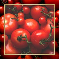 Fresh red small tomatoes background with frame