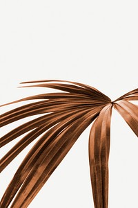 Copper dyed palm leaf isolated on background