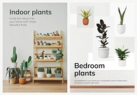 Houseplant poster template vector set for indoor gardening