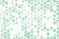 Bubble wrap texture background, mint green design