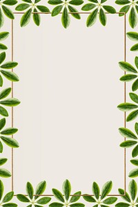 Green leaves with golden rectangle frame