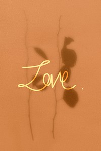 Love word on orange background with leaves shadow