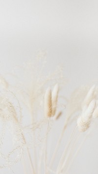 Minimalist iPhone wallpaper, white background