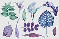 Vintage purple leaves collection design