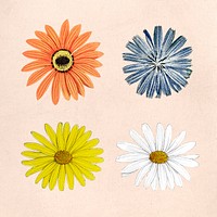 Blooming colorful flower mixed set mockup