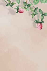 Blank clover flower on a beige background illustration