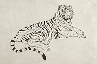 Hand drawn lying tiger illustration