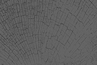 Gray tree rings textured blog banner background