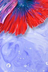 Betta fish tail background design resource 