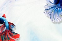 Betta fish tail background design resource 