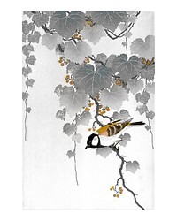 Great tit bird on a paulownia branch vintage illustration wall art print and poster design in black and gold, remix from original artwork.