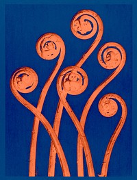 Neon orange Maidenhair fern vintage design vector, remix from original artwork Karl Blossfeldt.