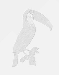 Embossed Toco toucan vintage vector, remix from original artwork.
