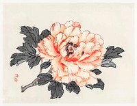 Pink rose vintage wall art print poster design remix from original artwork by Kōno Bairei.