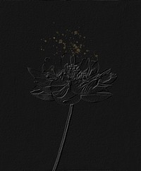 Lotus flowers artwork design, remix from original photography by Ogawa Kazumasa.