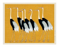 Flock of Japanese red-crowned crane vintage illustration wall art print and poster design remix from original artwork.