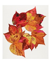 Autumnal leaves vintage illustration wall art print and poster design remix from original artwork.