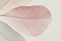 Closeup of pastel leaves texture design resource