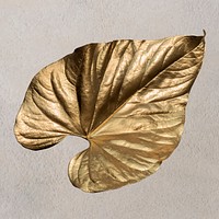 Gold leaf on beige background vector