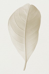 Closeup of leaf textture design resource