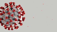 Coronavirus on a gray background