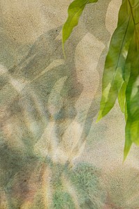 Tropical leaves on a concrete wall background