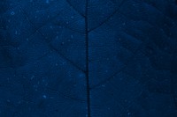 Plant patterned dark blue background