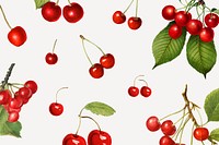 Hand drawn natural fresh red cherry patterned background vector