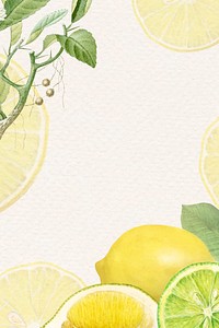 Hand drawn natural fresh lemon frame vector