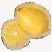 Lemon, fruit, ripped paper collage element