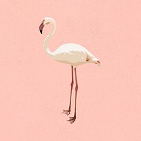 Vectorized white flamingo bird on a pink background