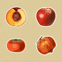 Vectorized tropical fruit sticker collection design elements 