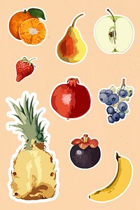 Vectorized tropical fruit sticker collection design elements 